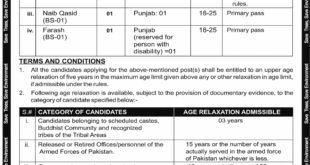 Government of Pakistan Ministry of Climate Change Jobs in Islamabad